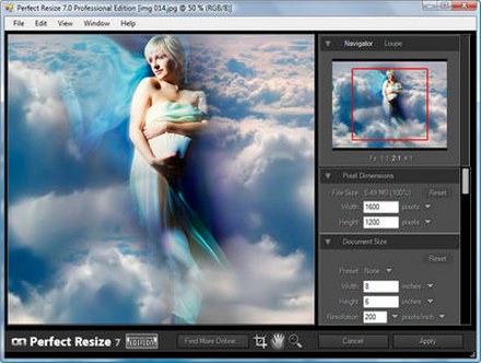 perfect resize 7.5 free download